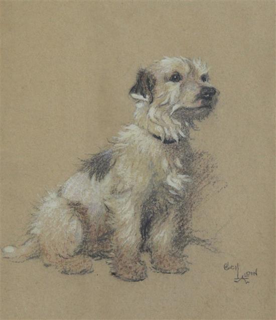 Cecil Charles Windsor Aldin (1870-1935) Portrait of a terrier 14 x 12in.